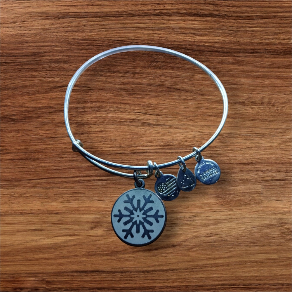Alex and Ani Silver Charm Bracelet with Delicate Charms